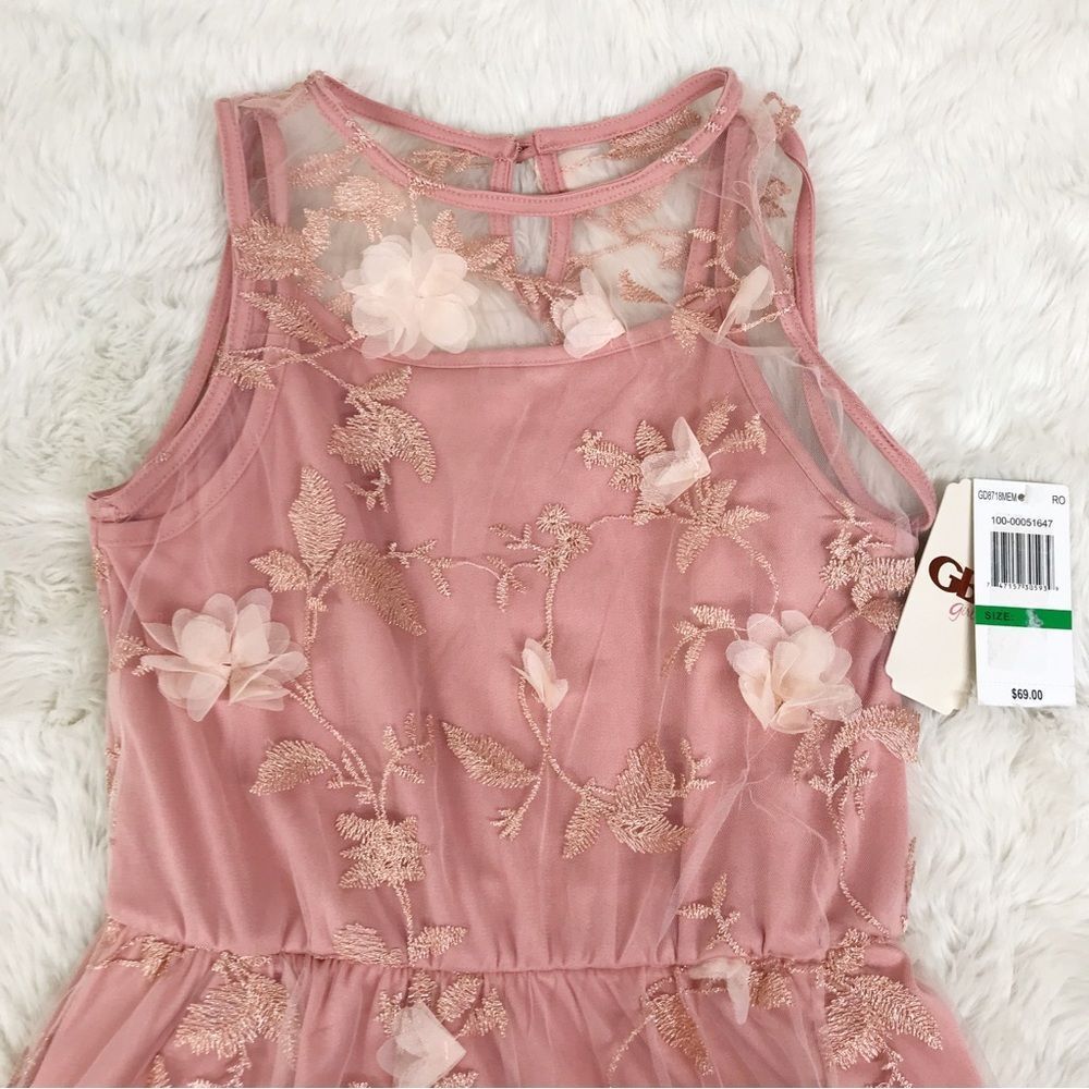 GIANNI BINI GB Girls Blush Pink Sleeveless Floral‎ Embroidered Dress Size Large - Picture 2 of 8